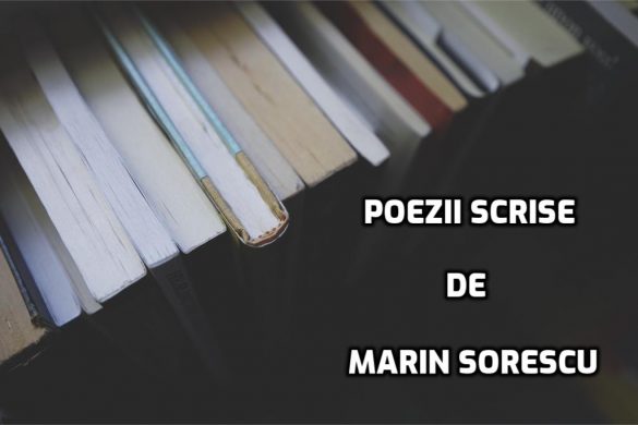 Poezii De Marin Sorescu Cele Mai Reprezentative