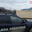 Nereguli pe bandă rulantă la firma fiului unui consilier al Gărzii Forestiere Suceava